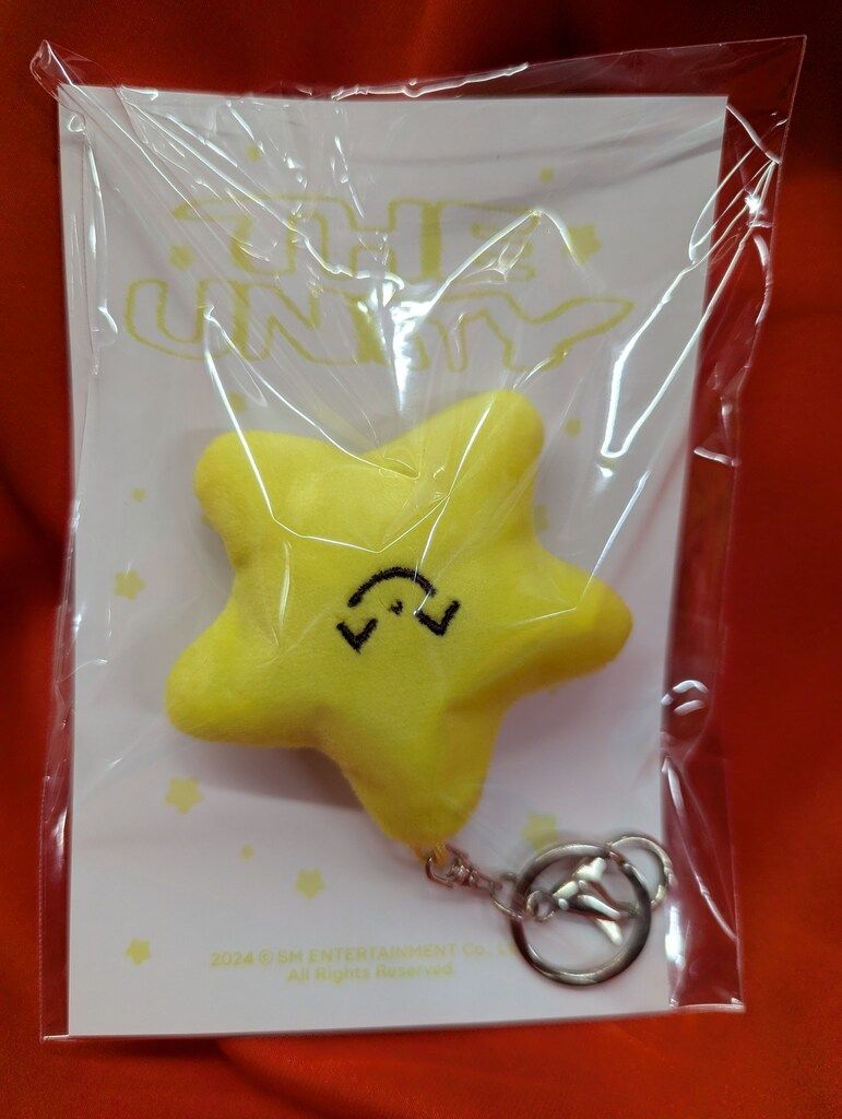 NCT 127 2025 NEO CITY SEOUL THE UNITY JAEHYUN STARFISH DOLL KEYRING SET