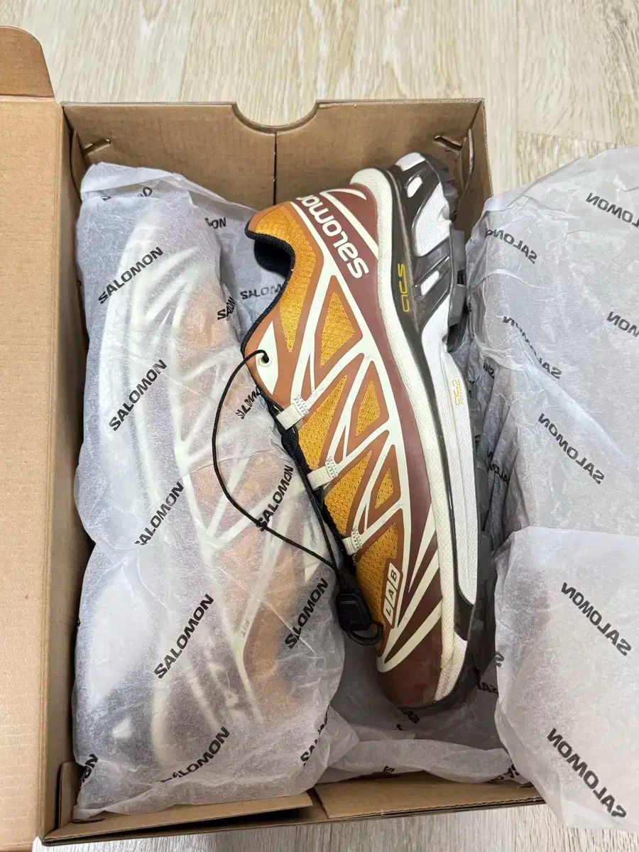 255 SALOMON サロモン x 終わり XT ー 6 ポルチーニ