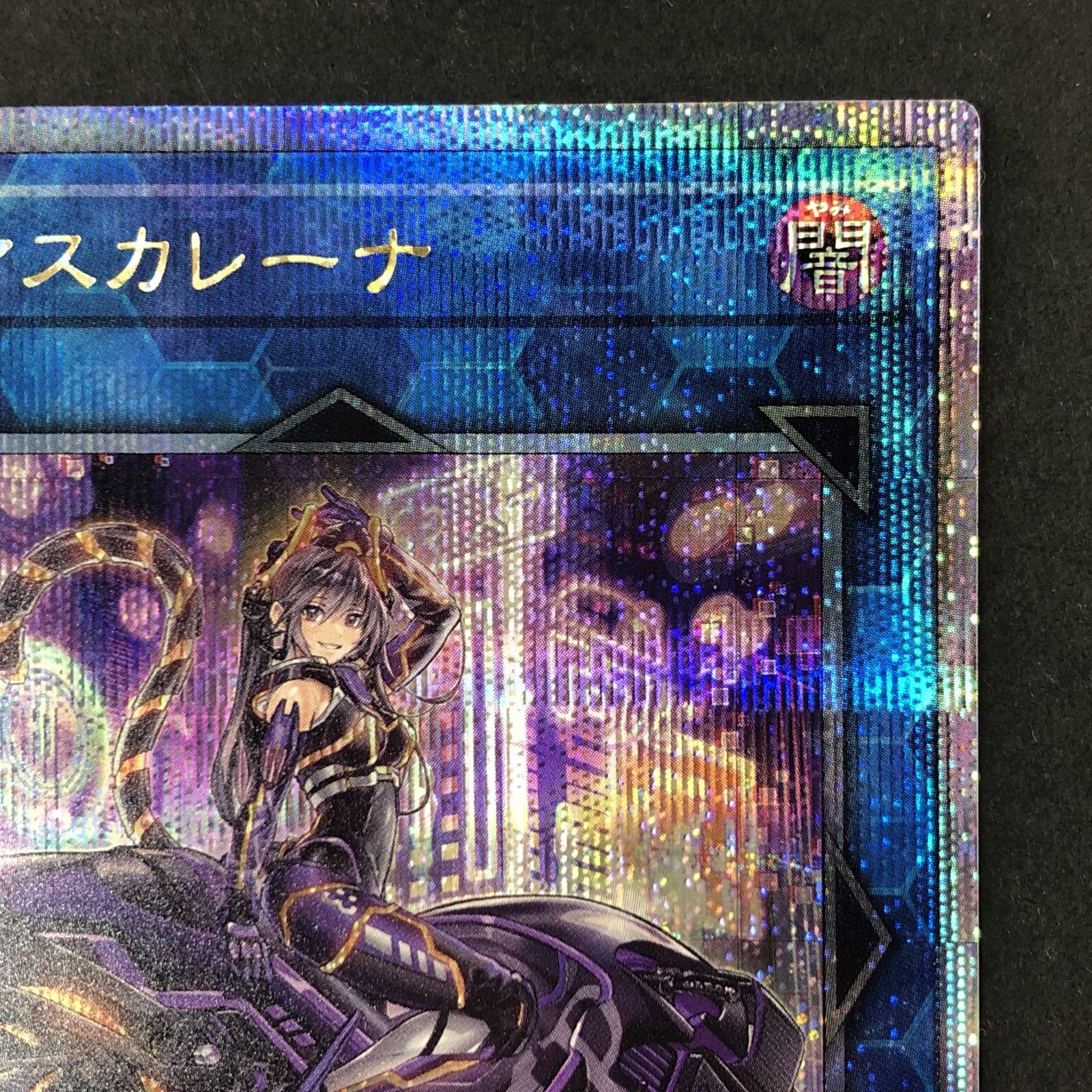 01w-3708 〇 遊戯王 OCG I:Pマスカレーナ イラスト違い クオシク