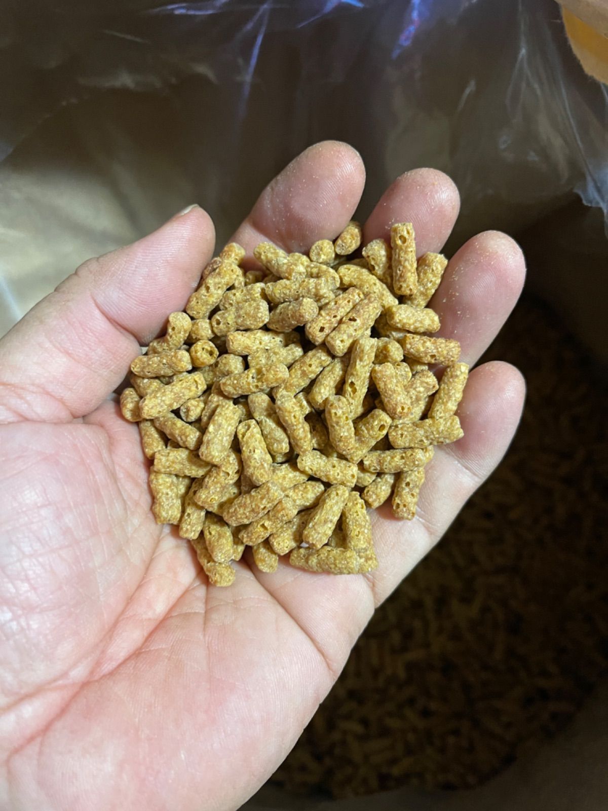 オリエンタル酵母 SPS 700g モンキーフード マーモセット タマリン