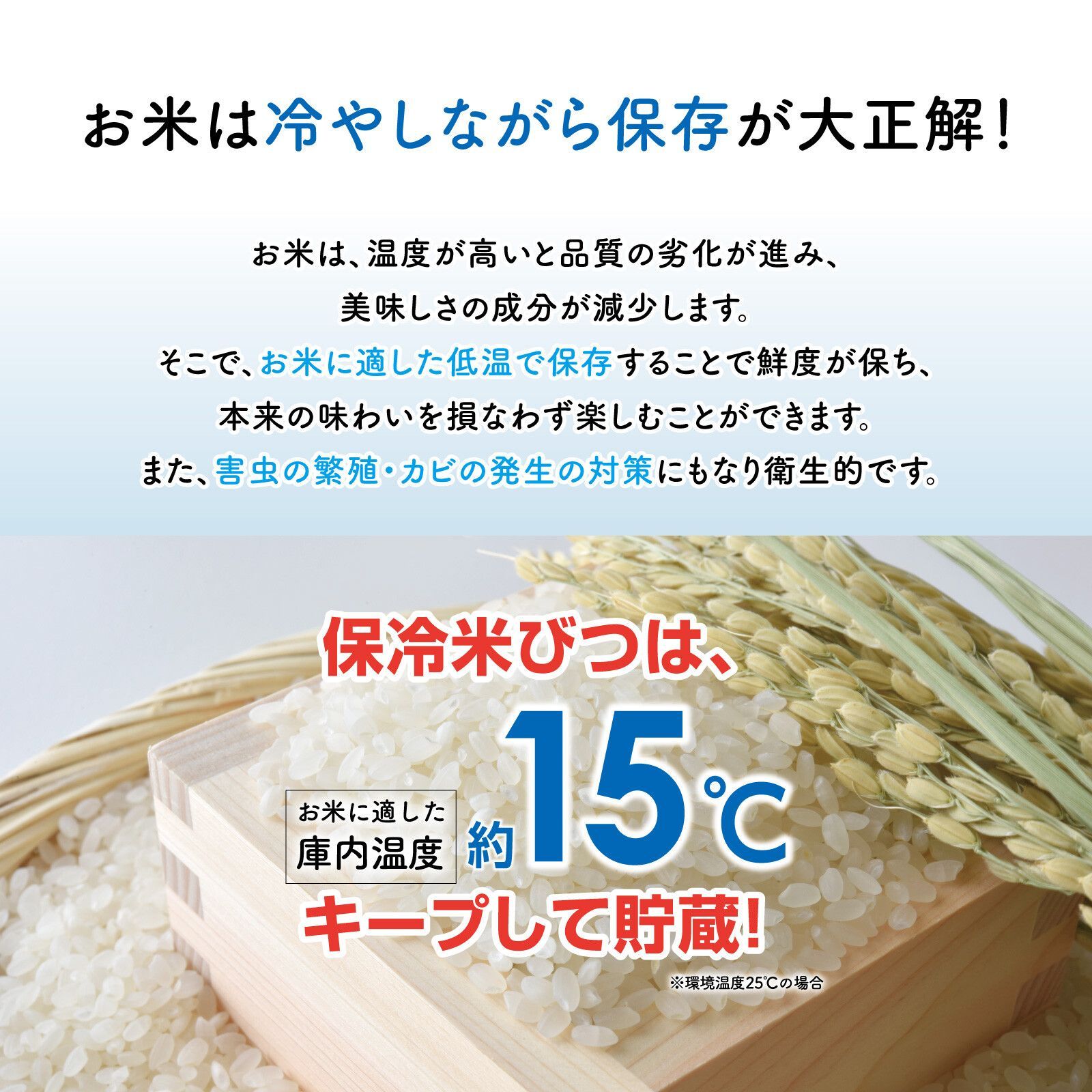 容量11kg