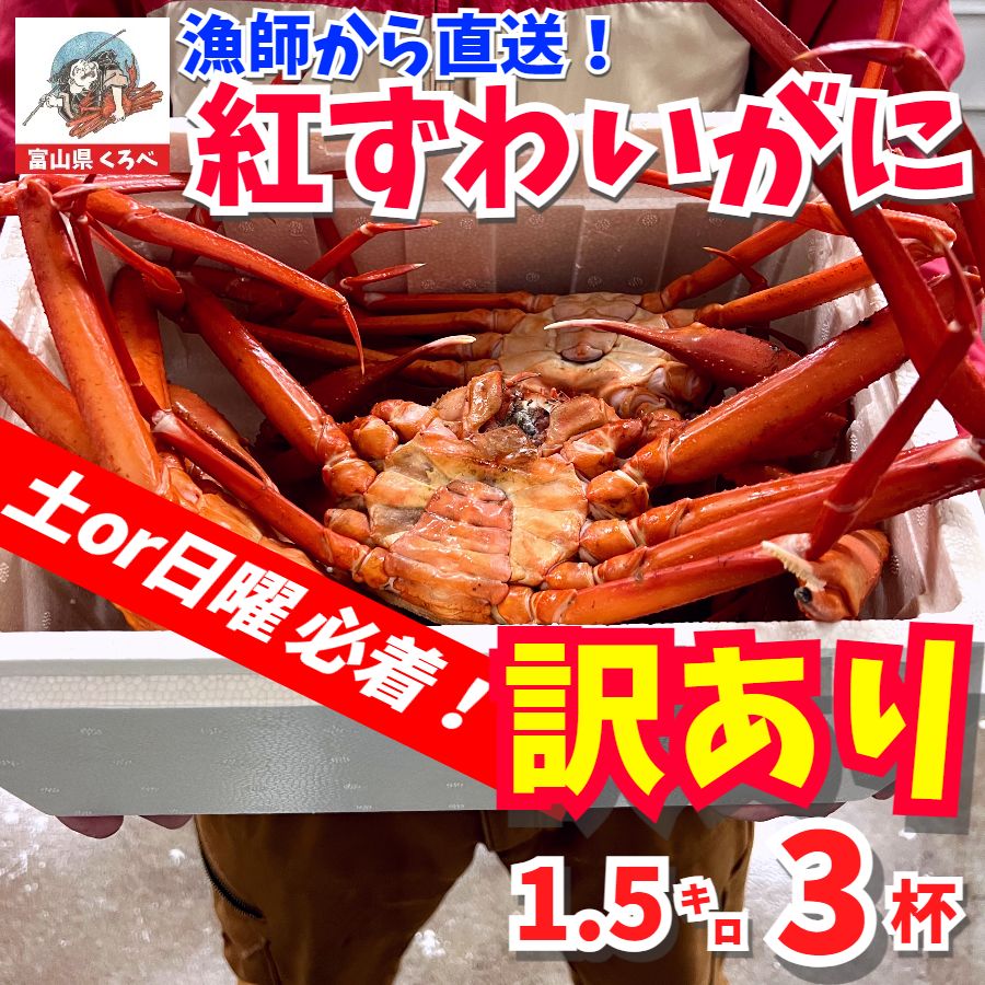 ? 週末にお届け確約‼ 富山県産 ボイル 紅ズワイガニ 姿で3杯 約1.5キロ 冷蔵 5月中お届け予定 紅ずわいがに 釜茹で かに カニ 蟹 カニ味噌 ズワイガニ 勤労感謝 魚介 海鮮 恵比須丸