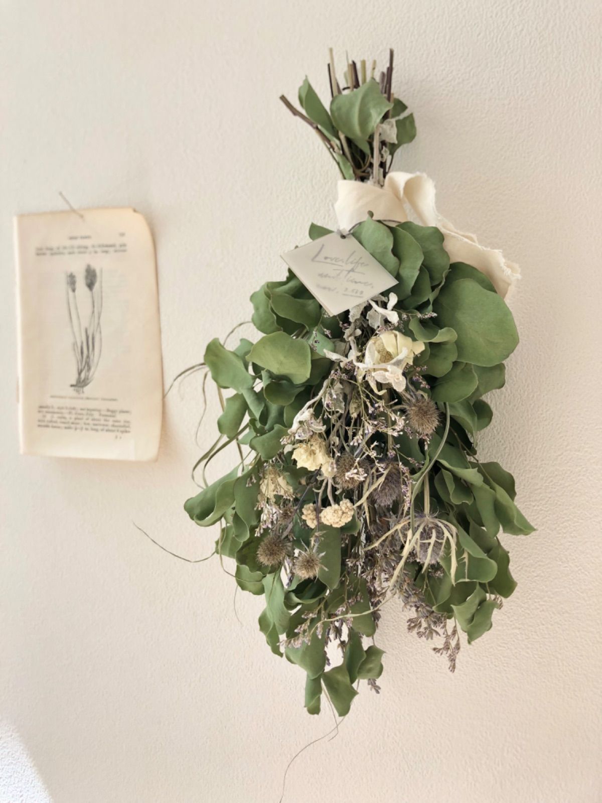 4.ポポラスフェアリースワッグ 1.ポポラスフェアリースワッグ