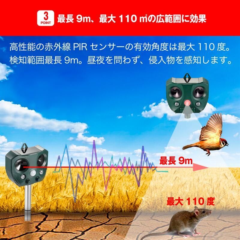 鳥害 犬