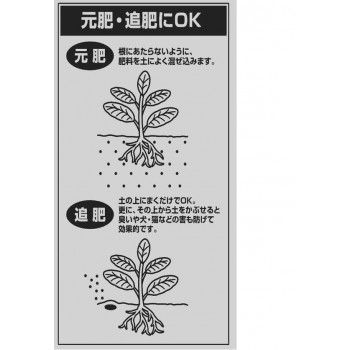 2袋セット