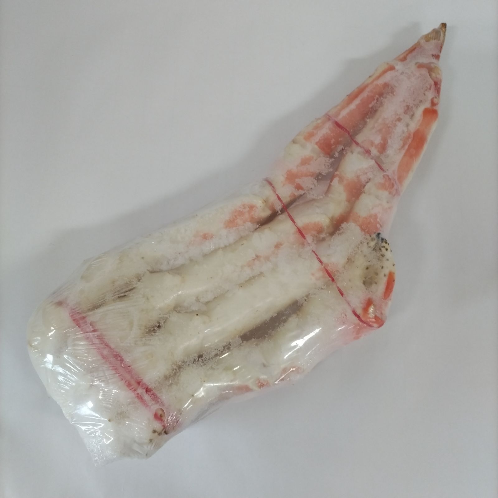 たらばがに 脚３肩