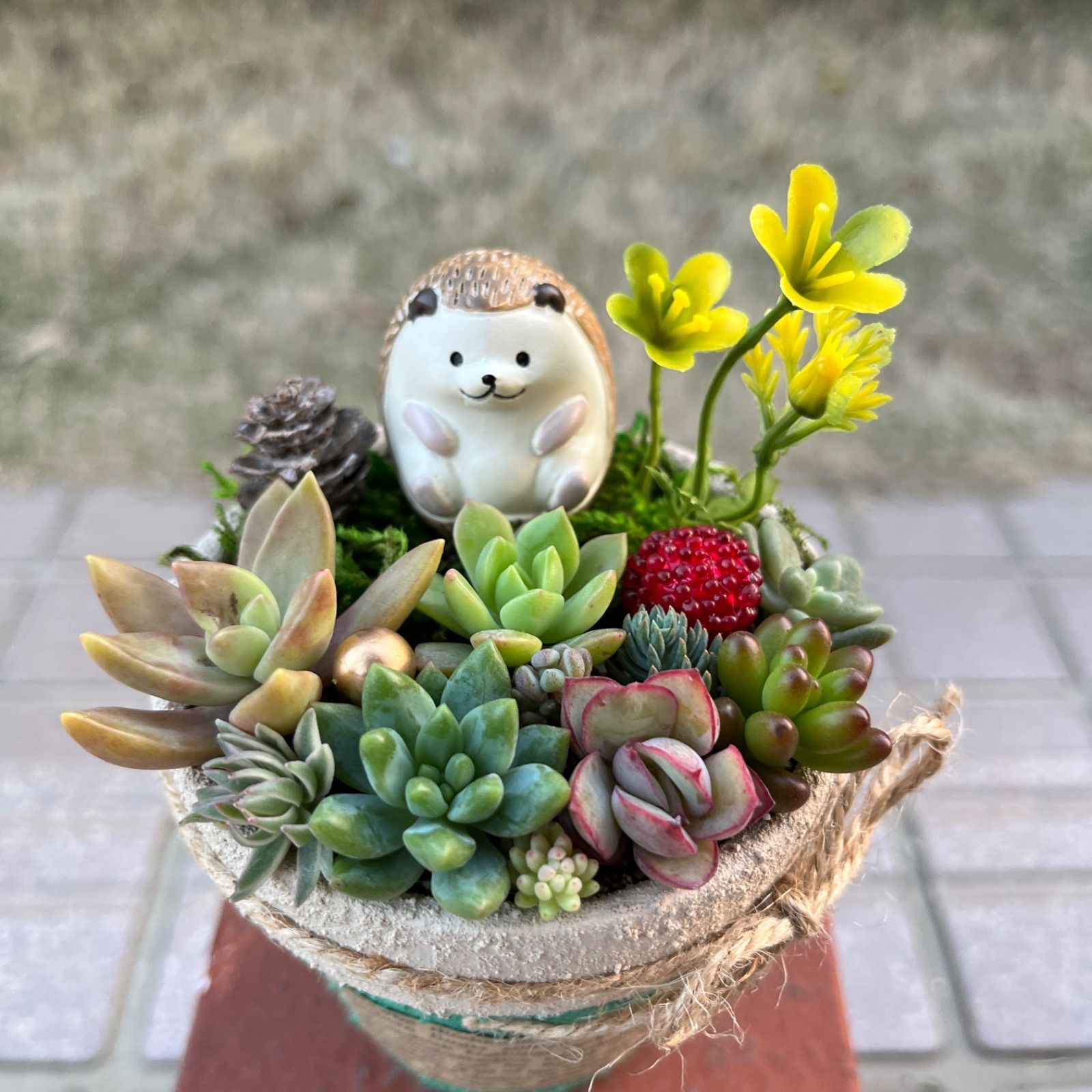 ♡そのまま飾れる♡リメ鉢♬はりねずみちゃんの多肉植物寄せ植え