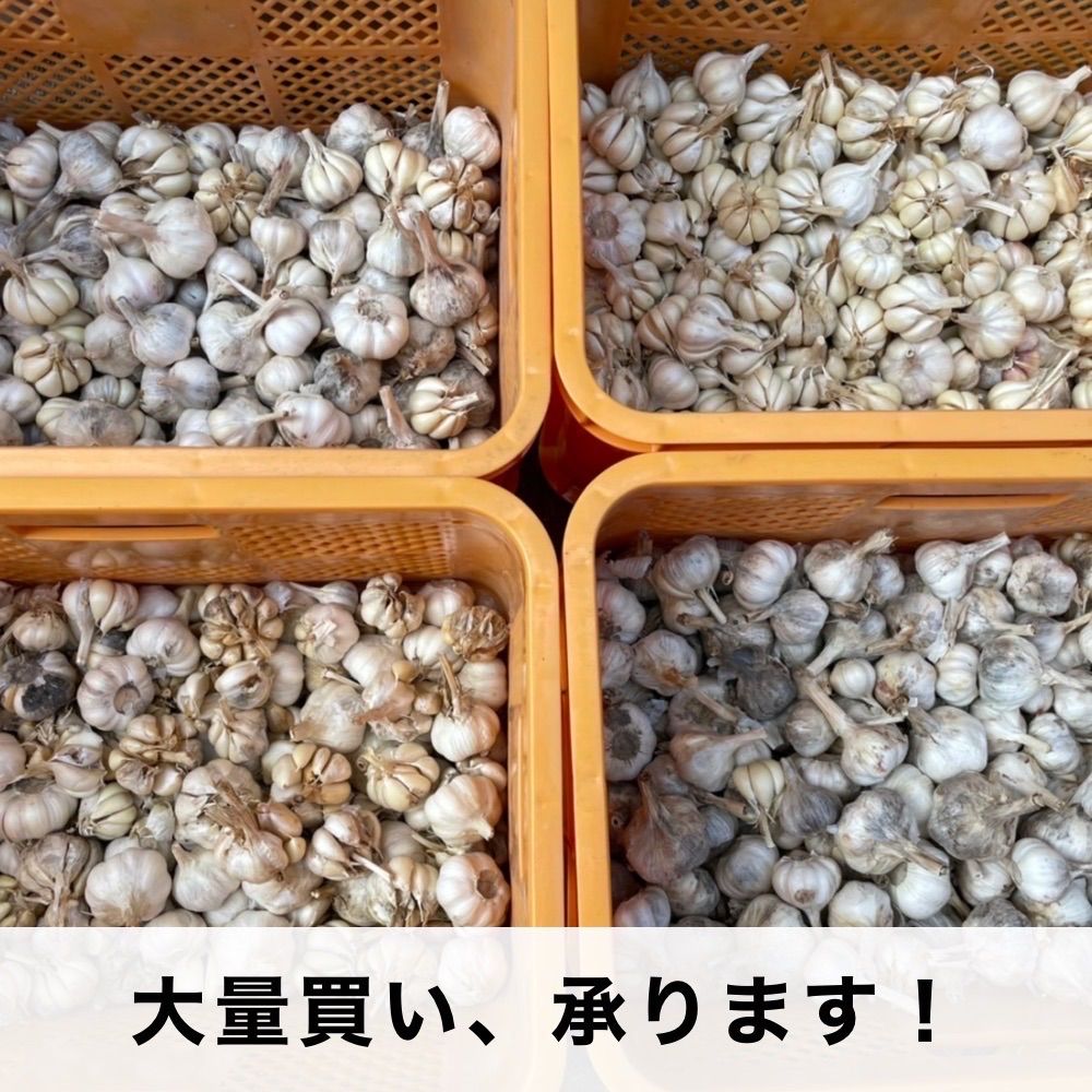 大阪府産 2025年度
