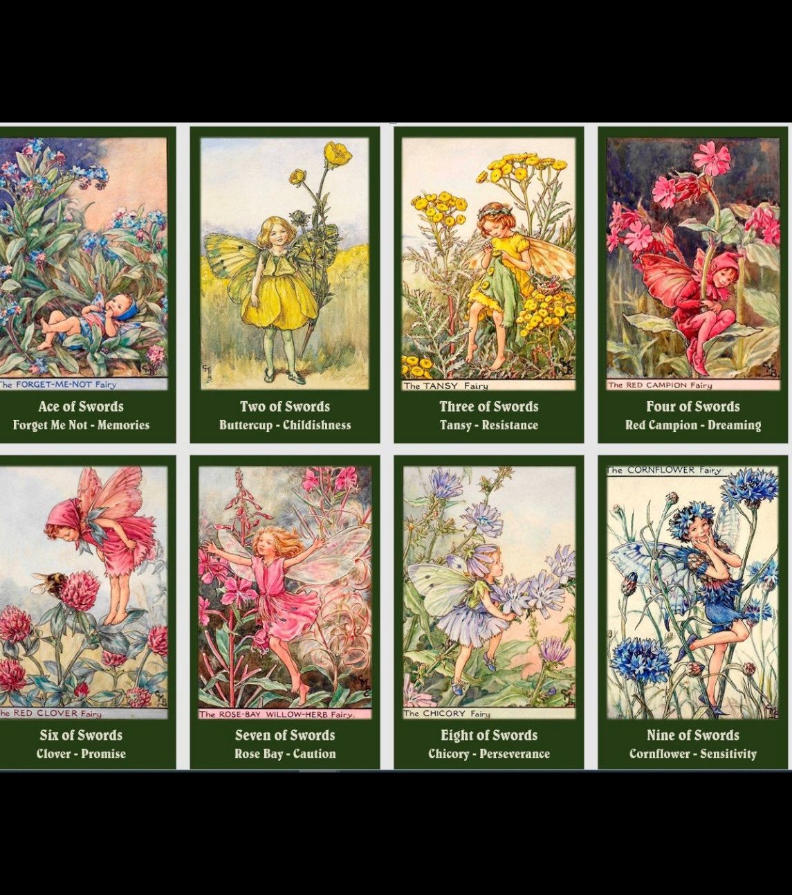 フラワーフェアリータロット Flower Fairies Tarot deck-