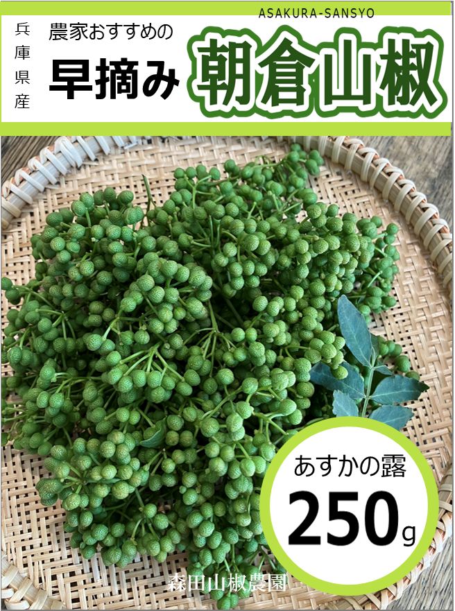 予約受付中】西播磨朝倉山椒（実山椒）あすかの露 250g - メルカリ