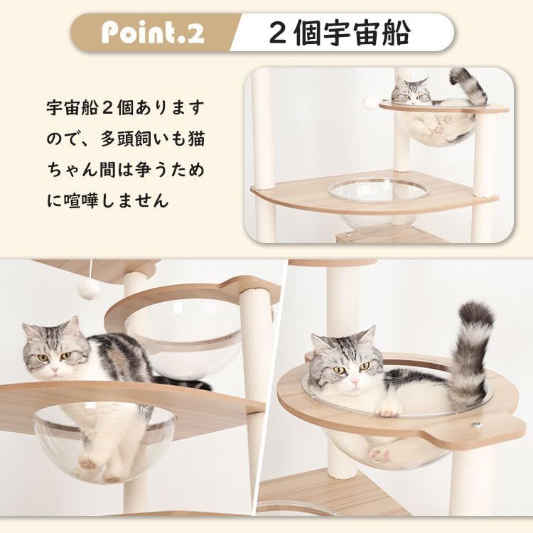 ボックス