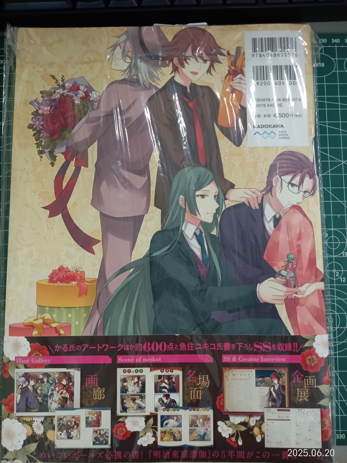 明治東亰恋伽 5周年記念ファンブック めいこい好男子図録 初版