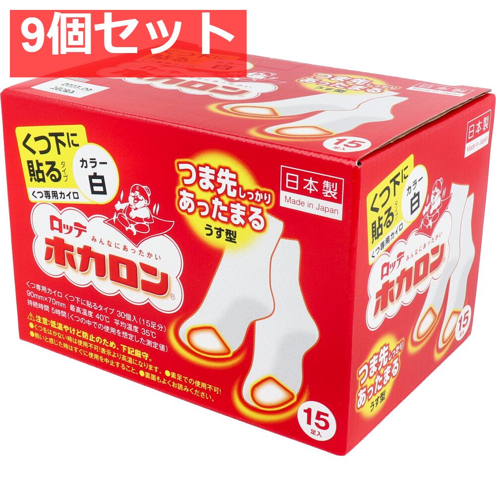 ロッテ ホカロン くつ下に貼るタイプ くつ カイロ 15足入 9個セット