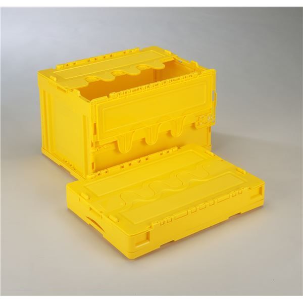 フィギュア ☆ MOLDING MULE こおにボット3号 どくどくカラー 3rd