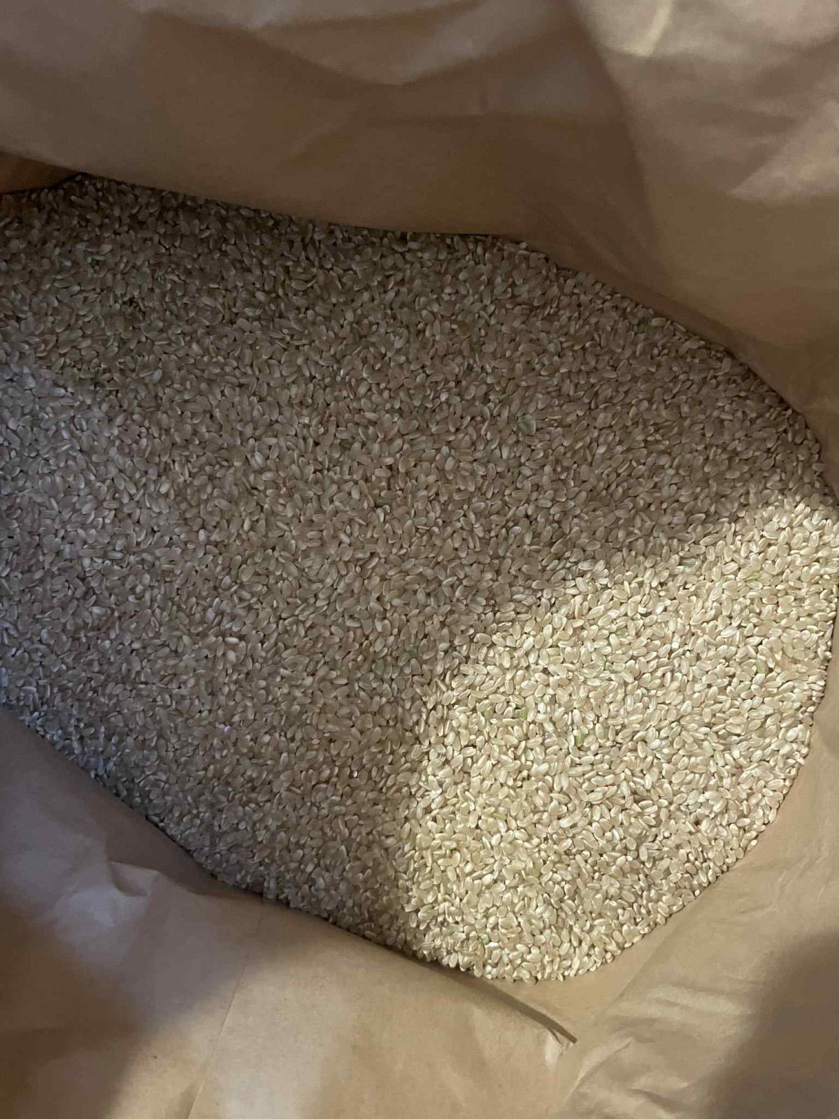 新米キヌヒカリ 玄米ダンボール込み30キロ