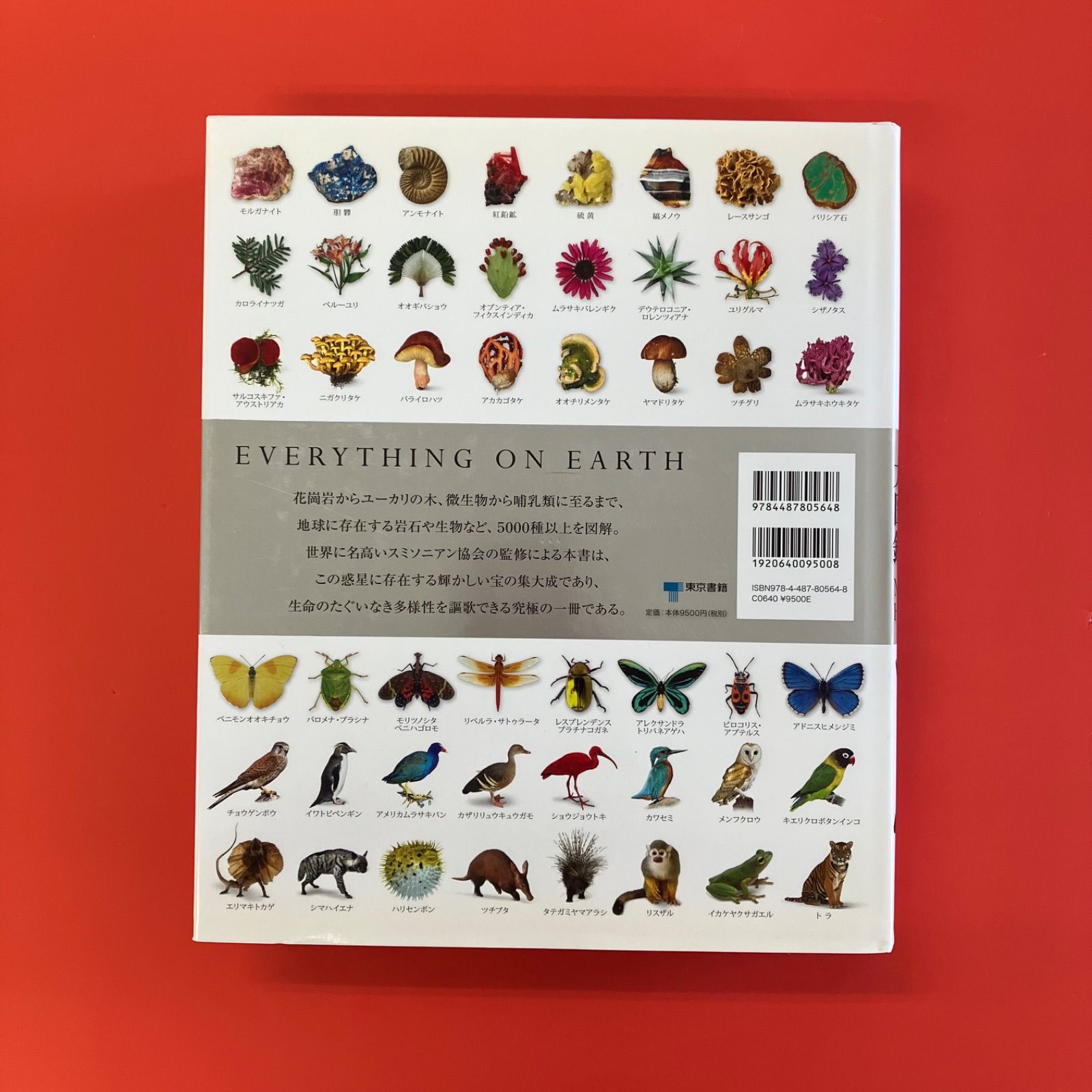 Amazon.co.jp: 地球博物学大図鑑 新訂版 eBook : デイヴィッド