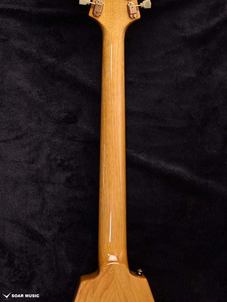 FUJIGEN / フジゲン NST11RAL/02 mod. ストラトタイプ FUJIGEN / フジゲン NST11RAL/02 mod. ストラトタイプ FUJIGEN