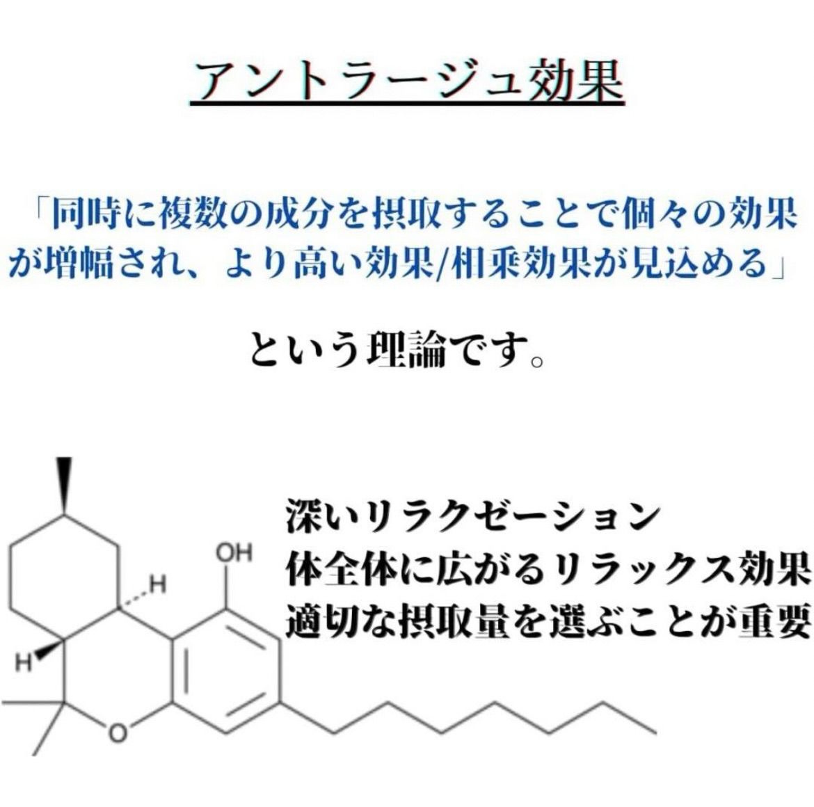 EcoFlow - 【偽サイト・偽SNSアカウントにご注意ください