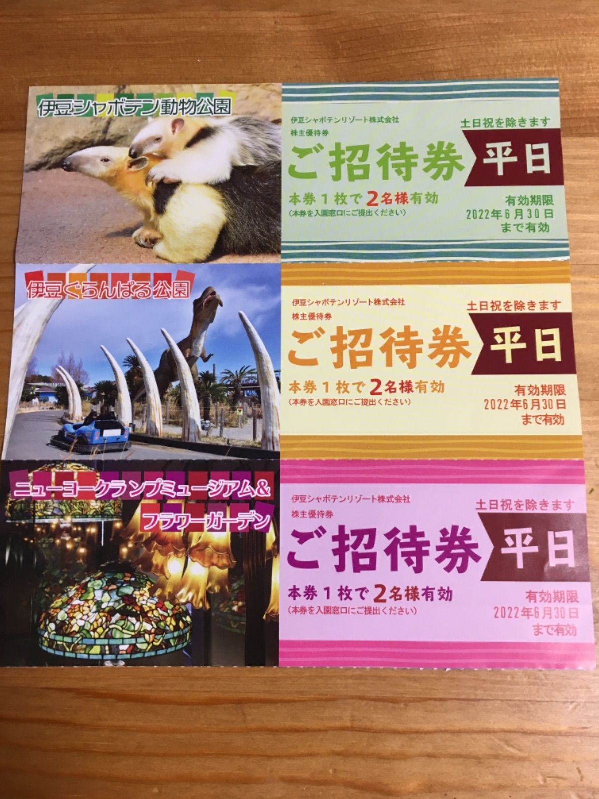 伊豆シャボテン動物公園 平日2名様招待券 伊豆シャボテンリゾート 株主