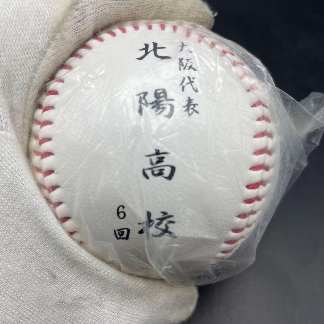 高校野球 甲子園 記念ボール 14個セット 全国高校野球選手権大会 高校野球 甲子園 記念ボール 14個セット 全国高校野球選手権大会