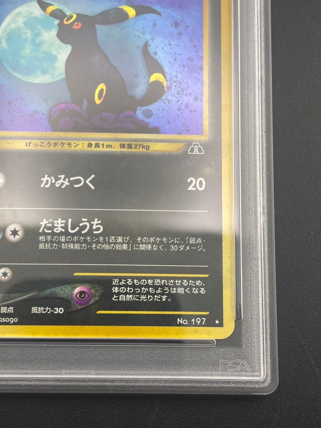 鑑定品】 PSA10 ブラッキー LV.40 neo2 No.197 ポケモンカード☆neo