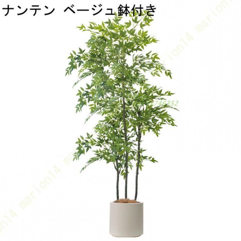 リアル 観葉植物