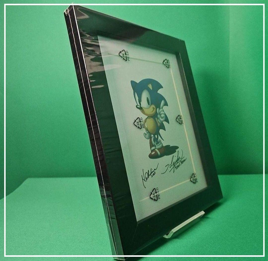 Nintendo Switch - ソニック スーパースターズ 復刻原画 製作者サイン 数量限定【レア★新品】 Nintendo Switch - ソニック スーパースターズ 復刻原画 製作者