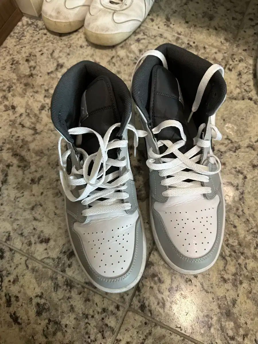 ジョーダン 1 ミッド スモーク グレー 270