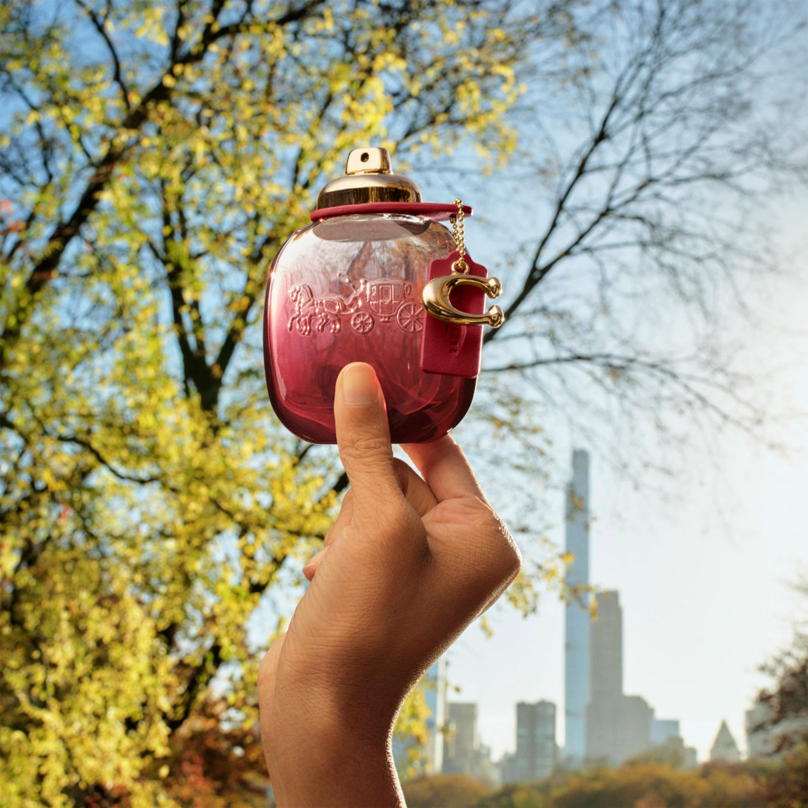 コーチ ワイルドローズ オードパルファム 90mL