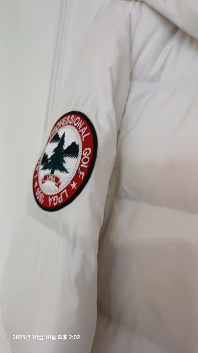 リーゴルフ服 サイズ 55 細身66 ダウン