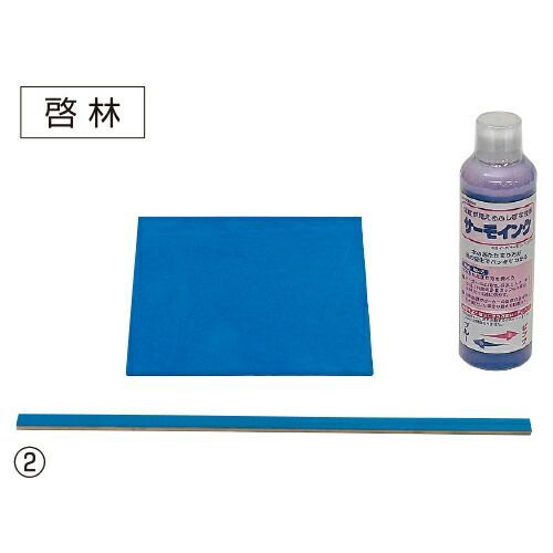 ものの温まり方実験セット 3 ＤＮ ＳＫC 15-722302