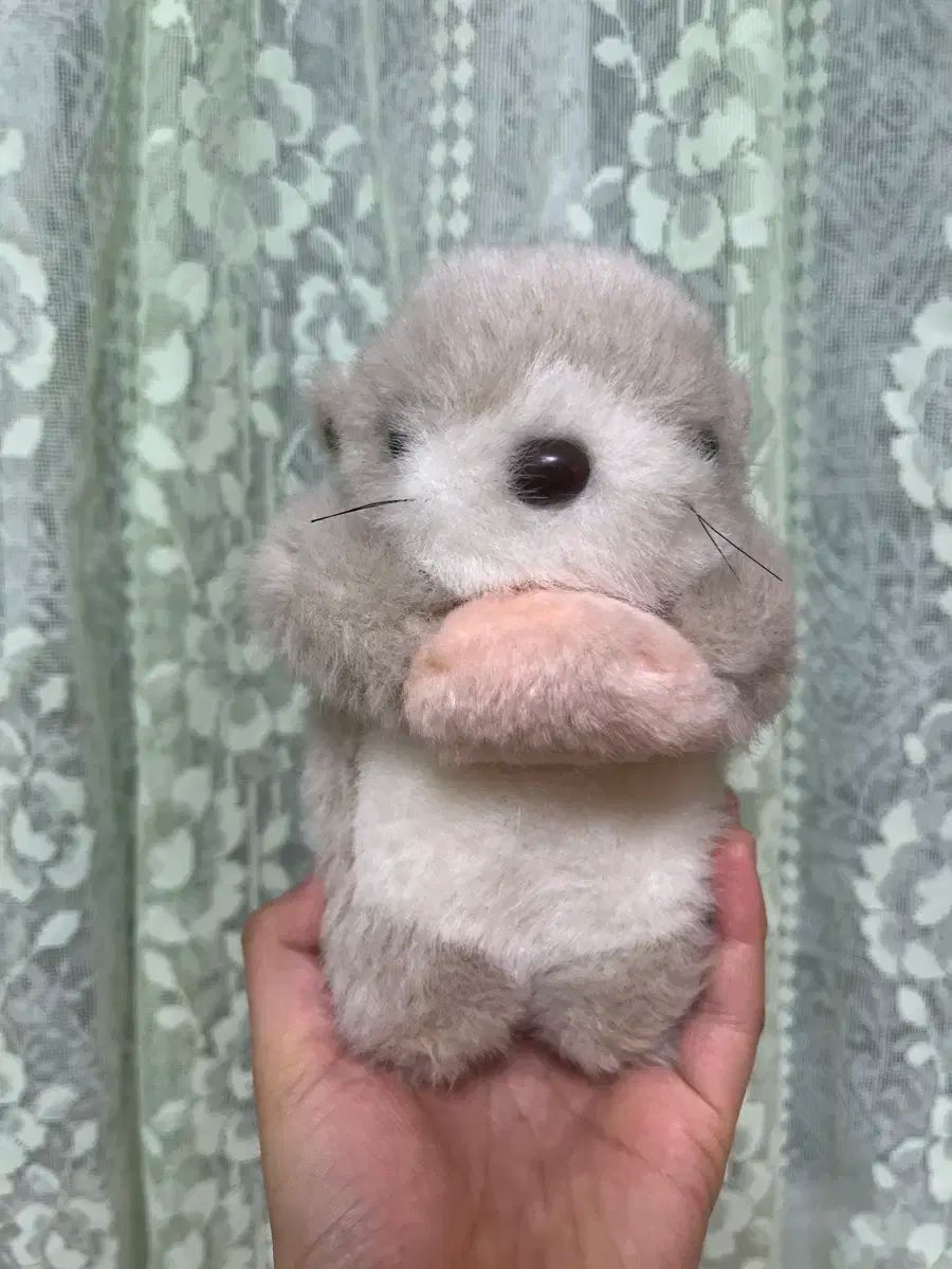 ち*げ様 プリムス 2290 2280 ビンテージ ツーバーナー