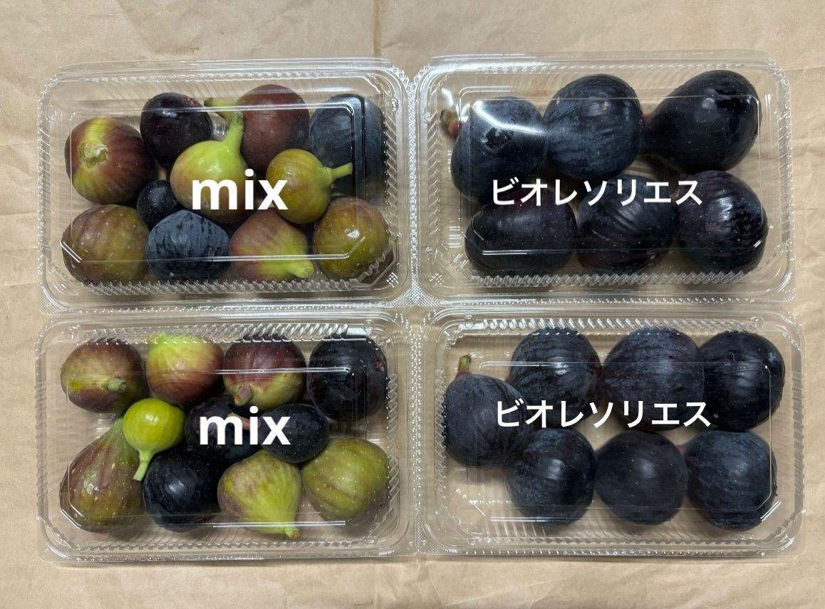 西洋いちじく　クール便