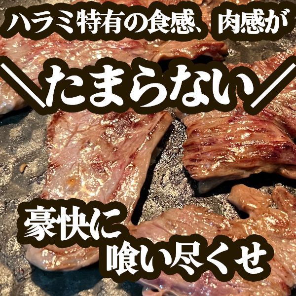 【大人気❗️訳あり商品🤪】タレ漬け牛ハラミ タレ漬け 厚切り 焼肉  赤身肉 訳あり はらみ さがり 500g×2 1kg 牛肉 肉 安い お得 安い メガ盛り バーベキュー