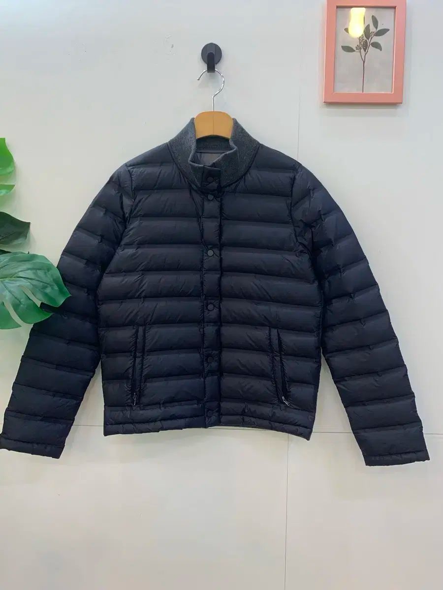 バレンシア グースダウン 軽量ダウンジャケット 66