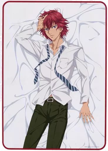 新テニスの王子様 うたたねの王子様 跡部景吾 ブランケット 2種セット