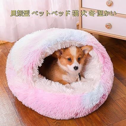 ベッド クッション