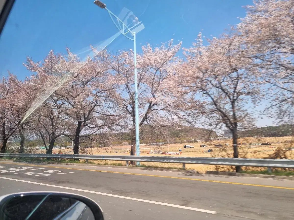 サマ ありがとう
