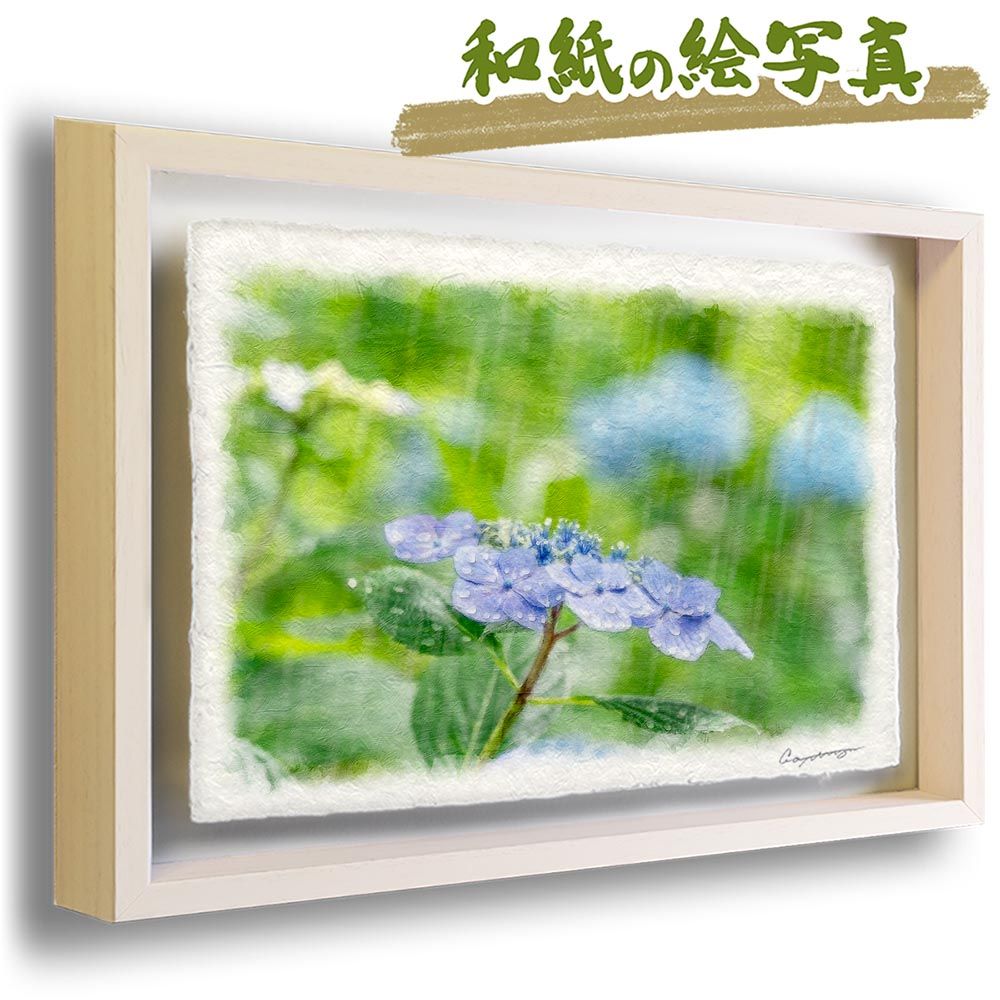 和紙の絵写真 「雨の中の青い額あじさい」 立体額縁付き 38x27cm 絵画 インテリア 玄関 風水 風景画 アート パネル ポスター おしゃれ 新築祝い 絵 壁掛け 和モダン 和風 ジャパンディ夏 紫 花