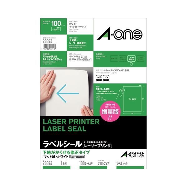 ケンウッド SP -940 ステファニア・カウェーサキー (sp. nov.) 9cm鉢 □カクタス長田