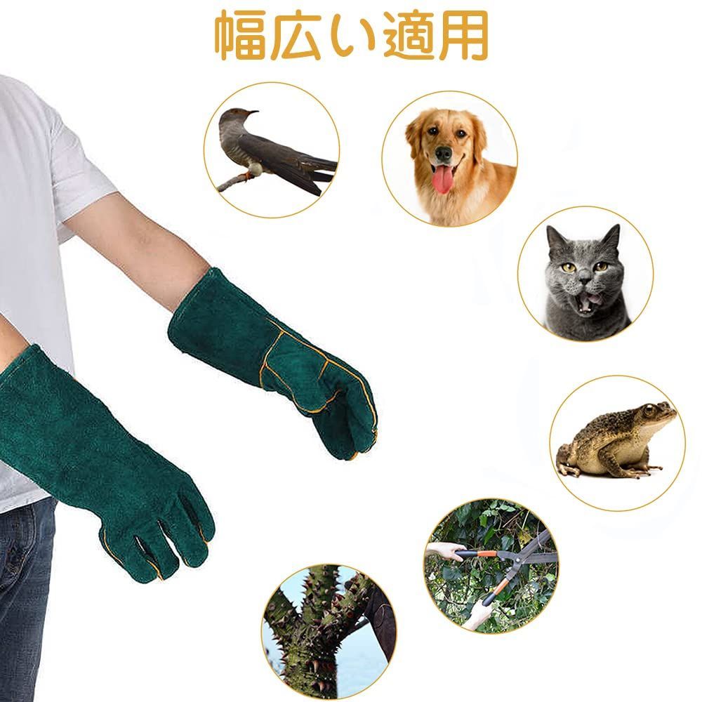 数量 グリーン