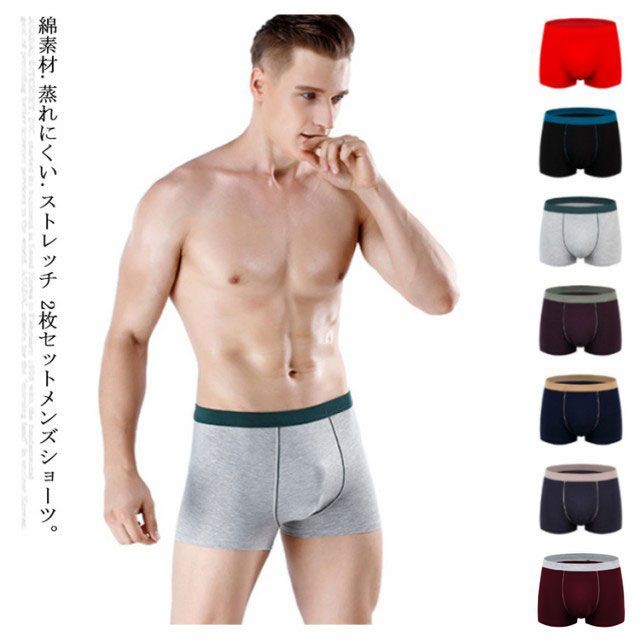 送料無料 ボクサーパンツ 綿 コットン メンズ 2枚セット