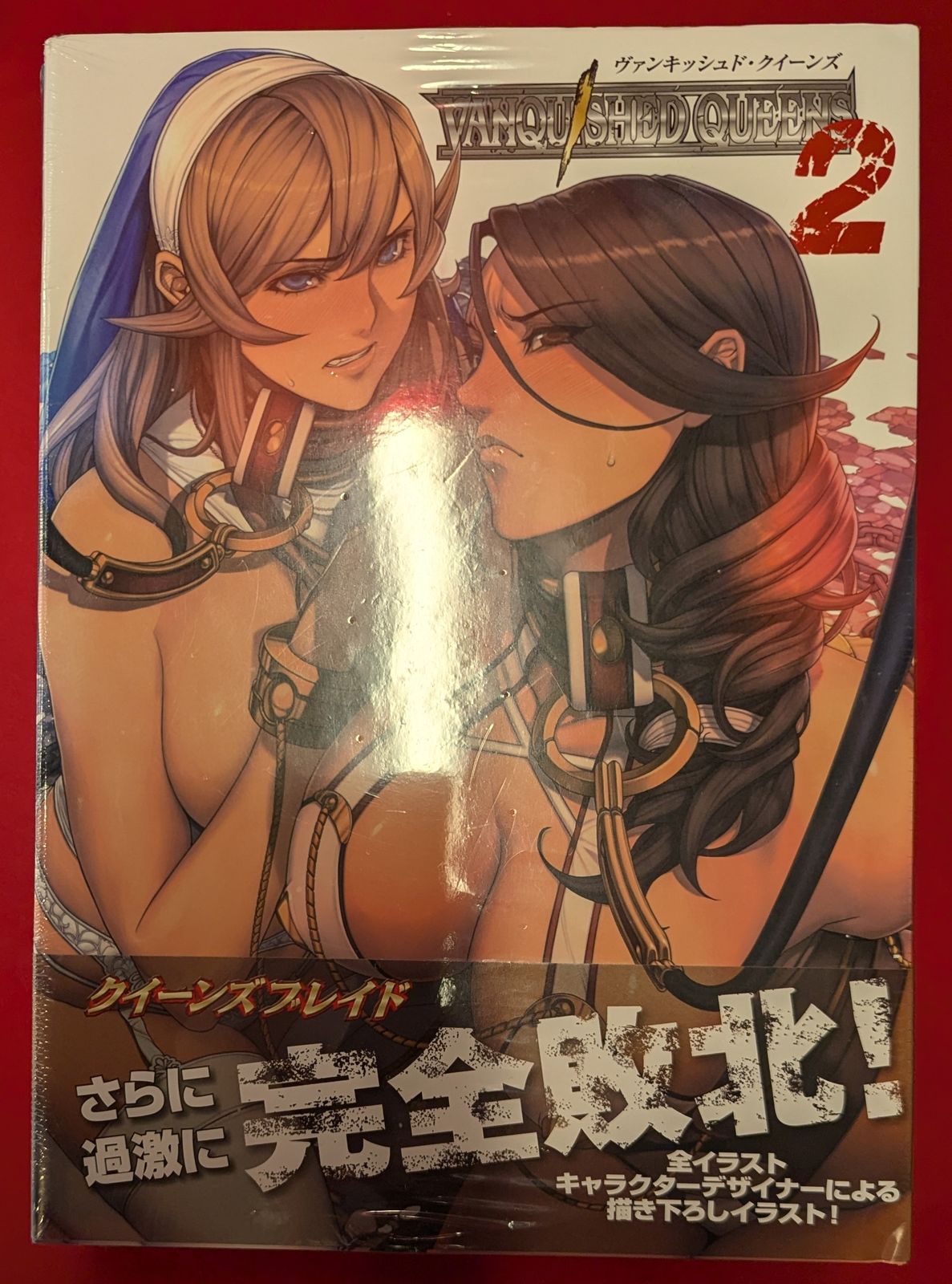 海洋堂 リボルテック/クイーンズブレイド ヴァンキッシュド・クイーンズ2/囚われの竜戦士ブランウェン本付き 16 - メルカリ