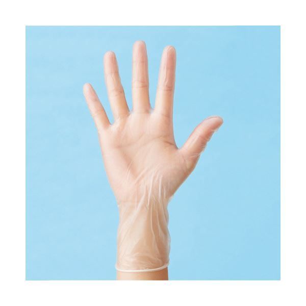 〔まとめ〕 ハクゾウメディカルハクゾウ プラスチックグローブ MF パウダーフリー L 3024113 1箱 80枚 〔×10セット〕