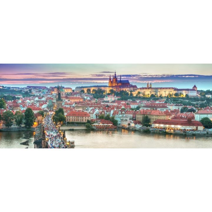 竹炭シリカゲルパット YZ1003 竹炭効果