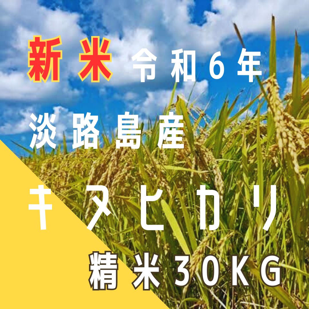 新米 令和6年産 キヌヒカリ 精米30キロ 淡路島 精米小分け 30kg