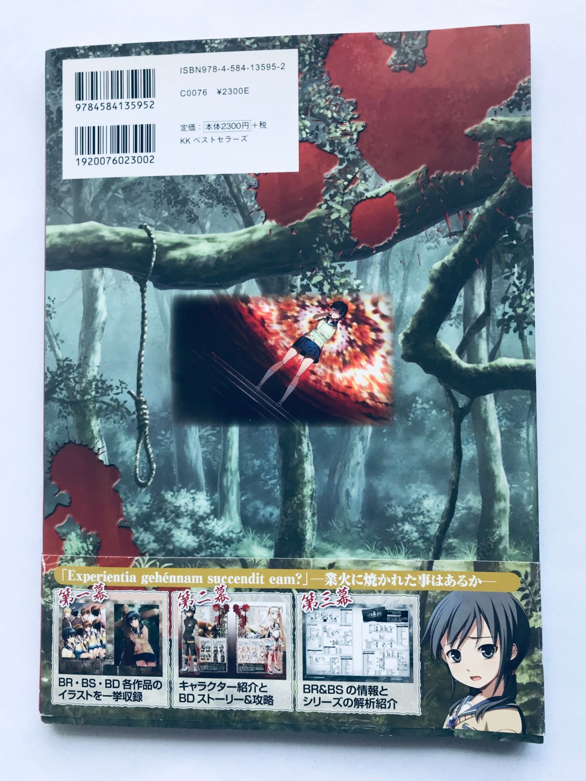 コープスパーティーBLOOD DRIVEシリーズコンプリート・ファンブック 51DYDxgxVfL._AC_SY200_QL15_.jpg