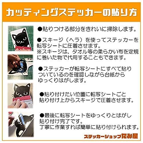 黒 ねこのみ