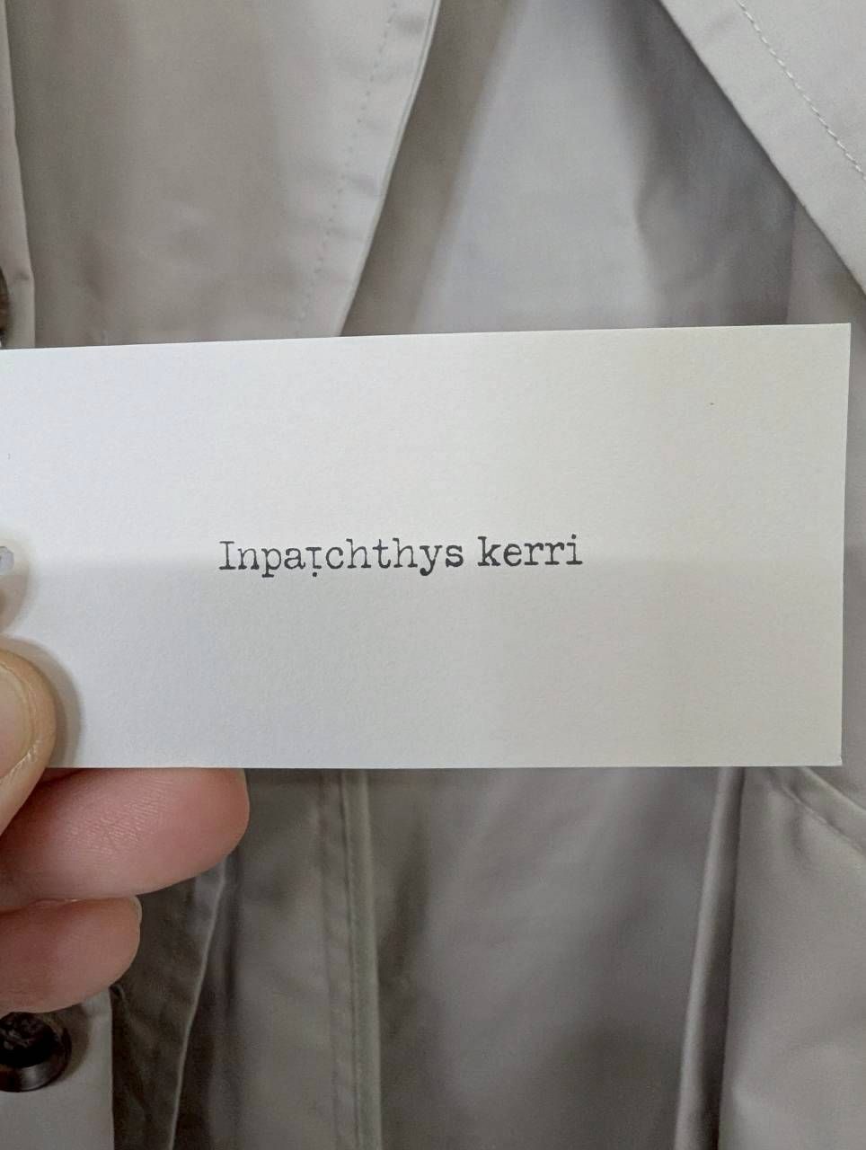 Inpatchthys kerri トレンチコート ベージュ Sサイズ Mサイズ