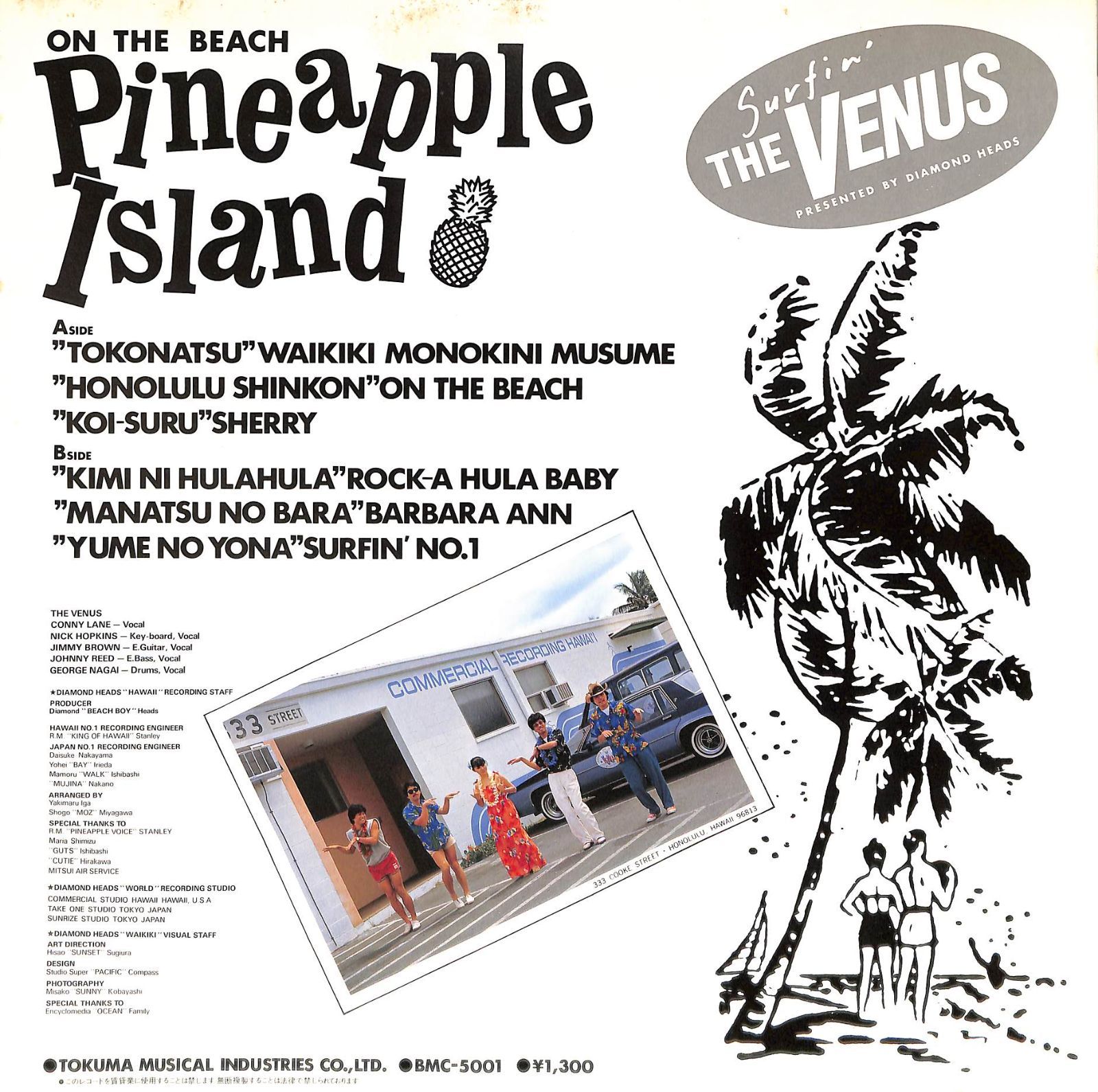 LP1枚 / THE VENUS (ザ・ヴィーナス) / On The Beach Pineapple Island